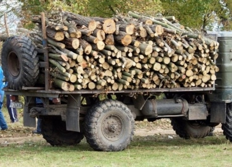 Задържаха кмет с камион нелегални дърва, взимал по 100 лева на курс