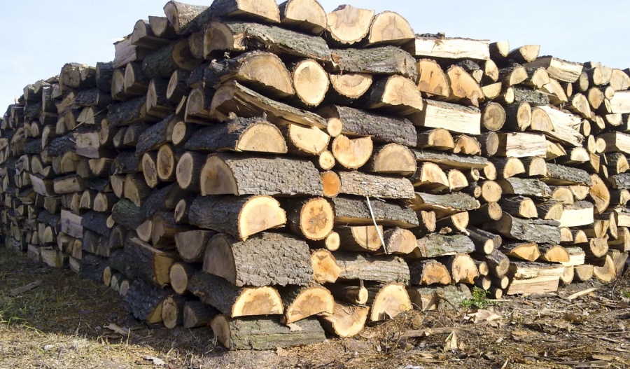 Приемат заявления за отопление чрез поемане на транспортните разходи за доставка на дърва на крайно нуждаещи се