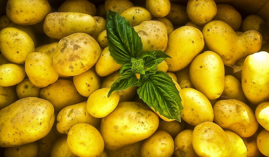 Картофите - истински склад на витамини и минерали