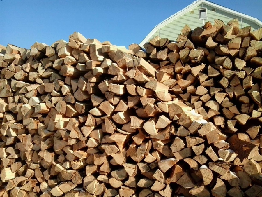 Кметът Младенов изиска пълна проверка заради сигнали за скъпи дърва за огрев