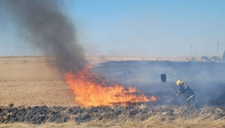 195 пожара унищожили 162 дка житни посеви в областта