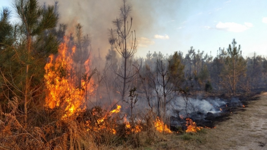 Пожар нанесъл сериозни поражения на ферма близо до Велинград 