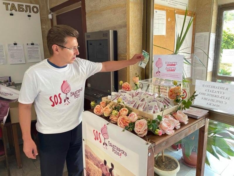 Кампания за спасение на родното розопроизводство инициираха Община Стрелча и сдружение “Българска розова долина“