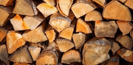 Община Стрелча приема документи за дърва на минимални цени