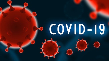 В нашата област новите случаи на коронавирус са 17