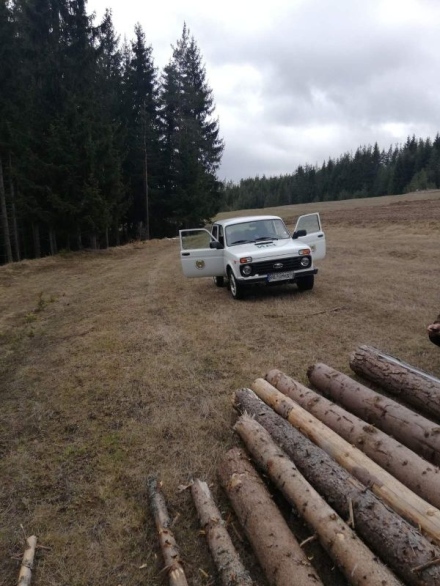 Екип на РДГ-Пазарджик задържа 60 куб. м незаконна дървесина във Велинградско