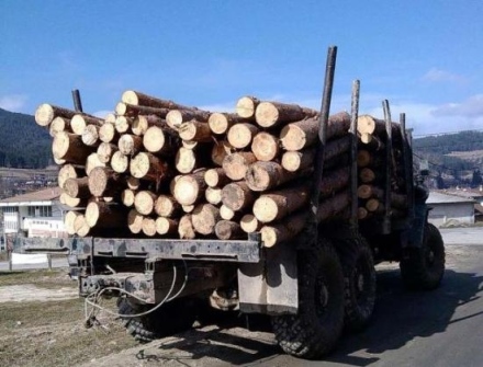 Горски провериха 106 МПС с дървесина в областта, не откриха нарушения