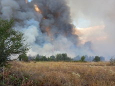 Голям пожар между Левски и Елшица, дойде вертолет (обновена)