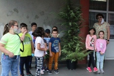 Община Панагюрище отново ще дари дръвче на всяко училище и детска градина