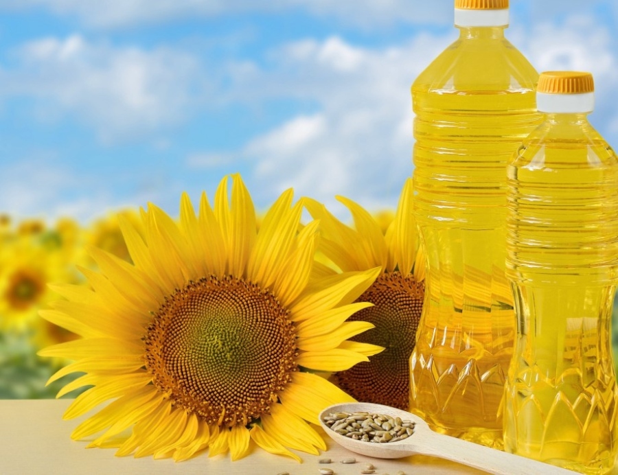 По-ниски добиви на слънчоглед, по-ниска цена на олио – едва ли