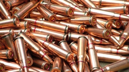Незаконни оръжия и боеприпаси у ловци от Ракитово