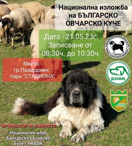 Национална изложба на българско овчарско куче на Празника на Пазарджик