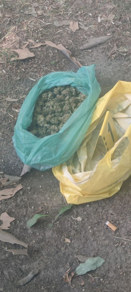 1243 души проверени при вчерашната спецоперация в областта - ето и резултатите