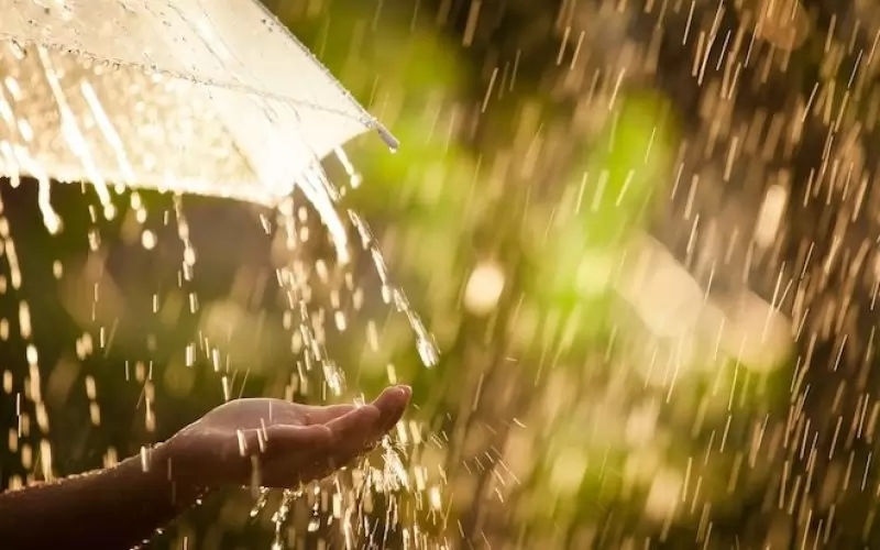 Средното количества дъжд едва достигна 20 литра на квадрат за три дни в областта