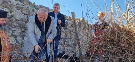 В Пещера зарязаха лозите за Трифон Зарезан, кметът Младенов пожела берекет и руйно вино