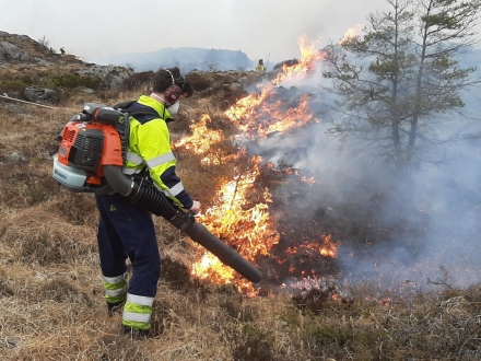 Областният управител издаде заповед за определяне на пожароопасния сезон в горските територии на област Пазарджик