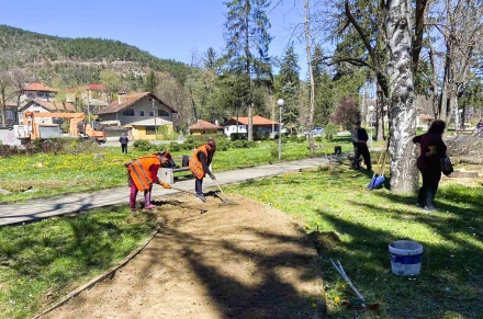 Община Велинград започна планирано подновяване на дървесните видове в парк „Клептуза”