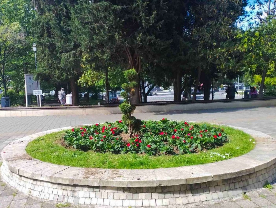 Засаждането на цветя в Пазарджик продължава