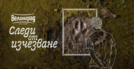 От 1 юни и във Велинград – „Следи от изчезване“ – изложба за видовете, които все още може да опазим