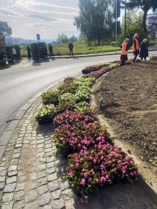 37 000 броя цветя и храсти ще красят Велинград