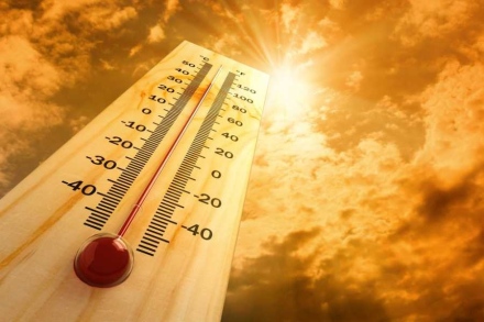 Жълт код за опасна жега в Пазарджик