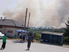 Пожар в горския фонд в покрайнините на Боримечково