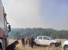 Потушен е пожарът край Боримечково, по първоначални данни са засегнати близо 500 декара