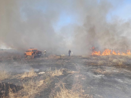 11 пожара са гасили пожарникарите през изминалото денонощие