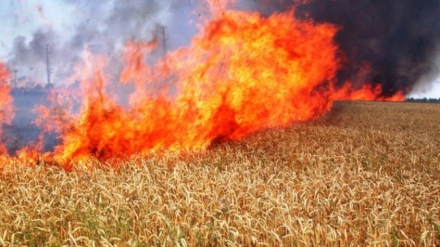 Пожар в зърнен блок в Панагюрско заради необезопасена селскостопанска техника