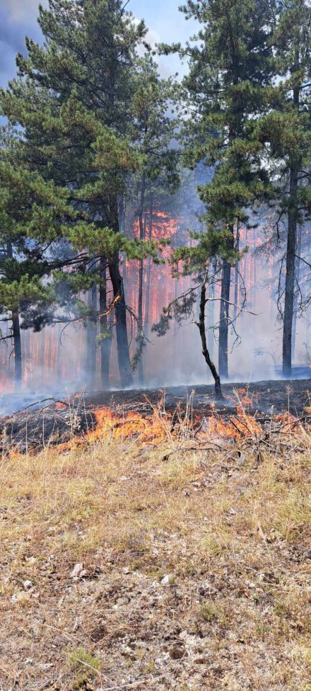 Пожарът край Стрелча е овладян, надеждите са за пълно потушаване още по светло днес