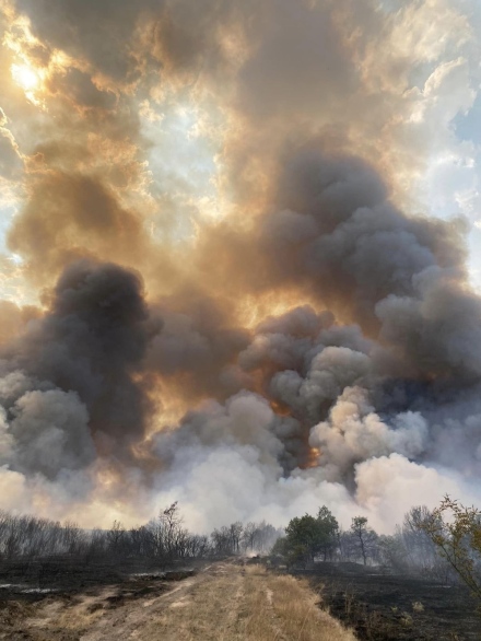 Овладян е пожарът край Априлци, засегнати са 2300 декара – 1300 декара гора и 1000 декара ниви
