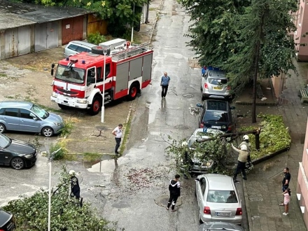  МВР и Община Пазарджик работят на терен за разчистване на щетите от бурята, подавайте сигнали