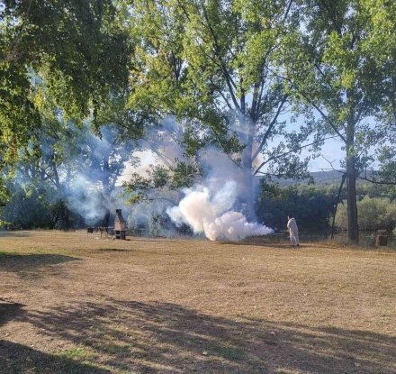 В община Лесичово обезпаразитяват срещу Западнонилска треска