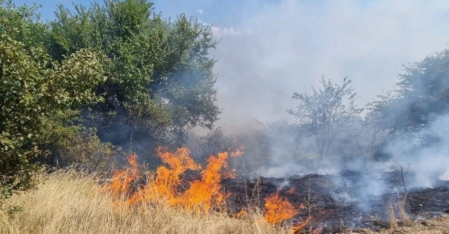 Временно затворен е пътят между селата Звъничево и Лозен, причината – пожар на сухи треви и стърнища