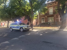 Полицаи и пожарникари свалиха мацка... от дърво