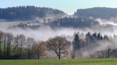 Каква зима ни очаква – какво вещаят животните и природата?
