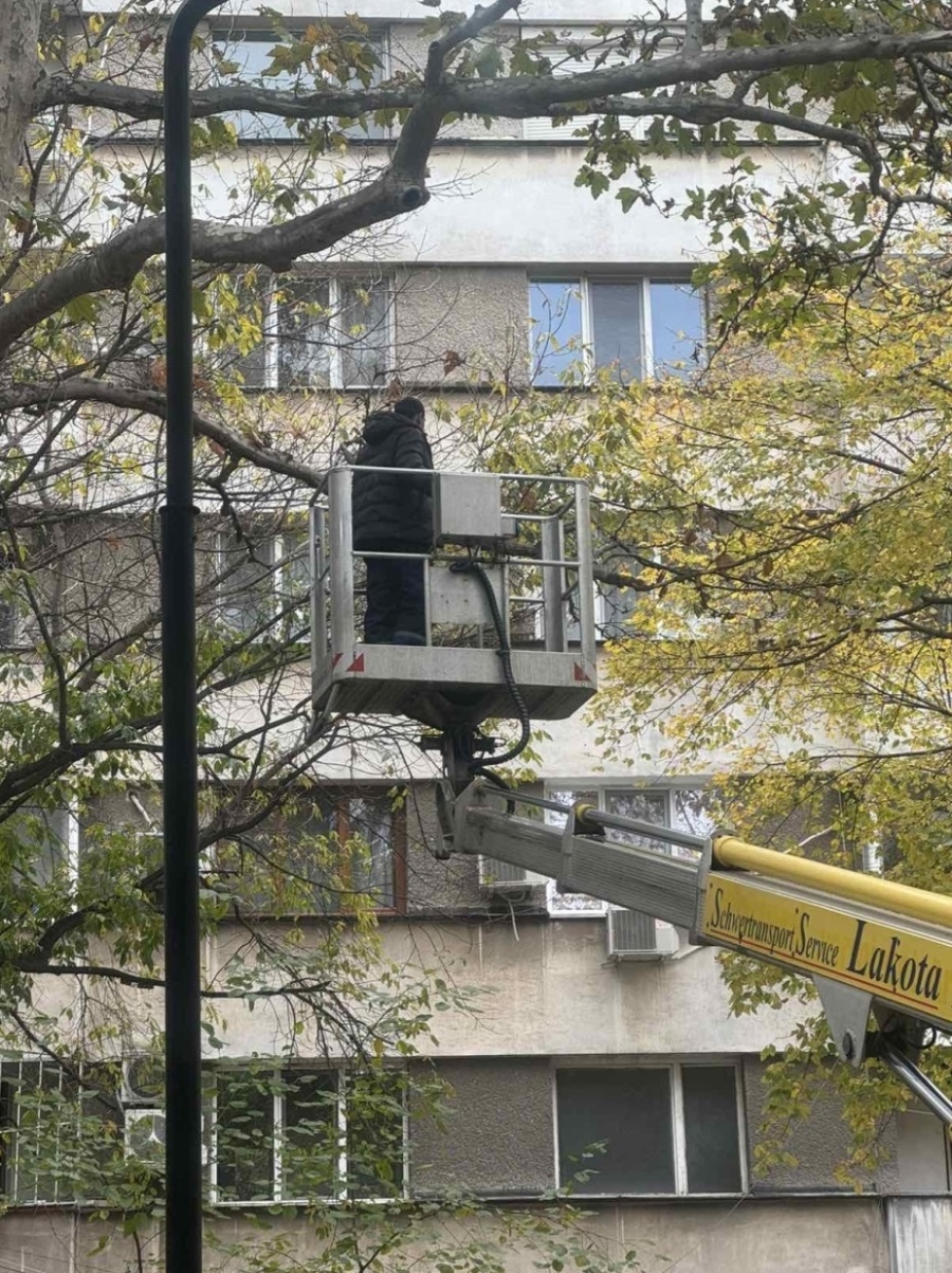 В Пазарджик: Санитарна сеч и облагородяване на Градската градина от вчера