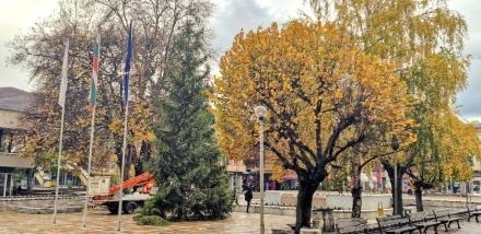 Пещера вече е с Коледна елха