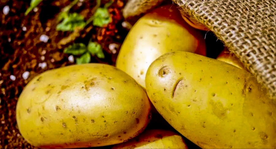 С “Ода за велинградските картофи“ започна празника “Българско е!“