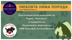Радио “Чиксалън“ стартира кампания за фермата за изоставени животни в Пазарджик
