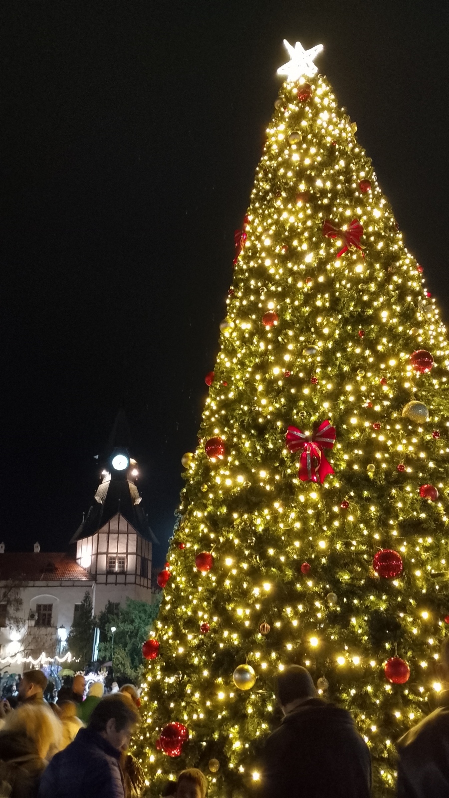Запалиха светлините на Коледната елха в Пазарджик /СНИМКИ И ВИДЕО/
