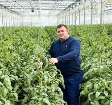 Стопани приключват с оранжериите по-рано тази година заради скъпо отопление и евтиния внос