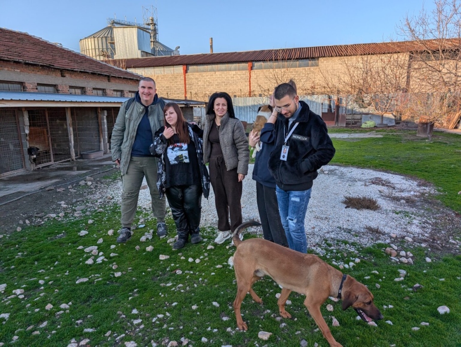 Радио “Чиксалън“ събра пари и храна за бездомните животни и ни напомни, че любовта няма порода 