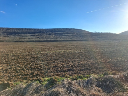 Подписали възрастна жена - губи хиляди левове от наем на земя