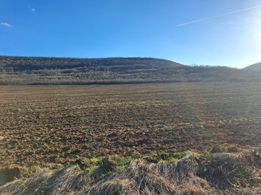 Подписали възрастна жена - губи хиляди левове от наем на земя
