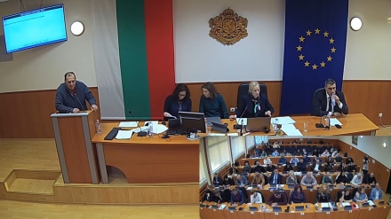 Общински съвет - Пазарджик даде зелена светлина за паметник на Виолета Гиндева