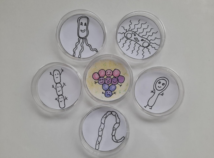 „Малки откриватели в големия свят на водата“ – РЗИ на гости в ДГ „Слънчо“