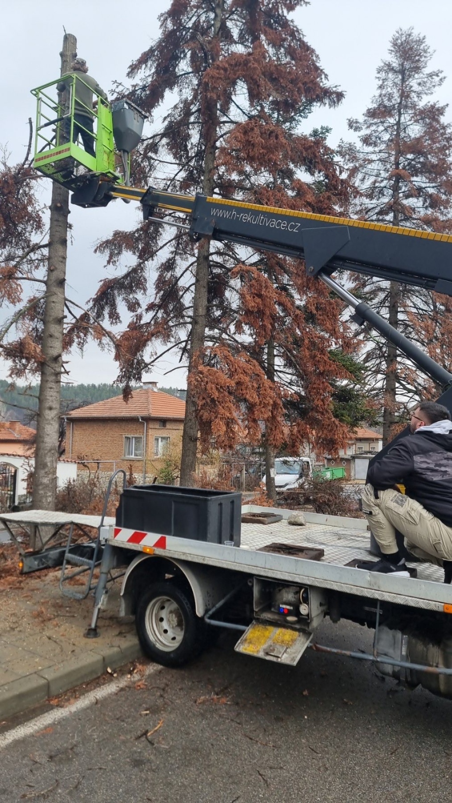 Премахват 60 изсъхнали и опасни дървета в община Белово