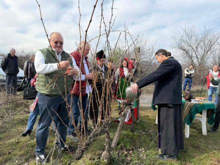 Шумно и весело отбелязаха Трифон Зарезан навсякъде в община Лесичово 