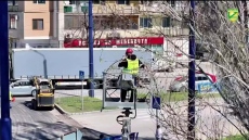 Община Пазарджик постави две нови платформи за щъркелови гнезда